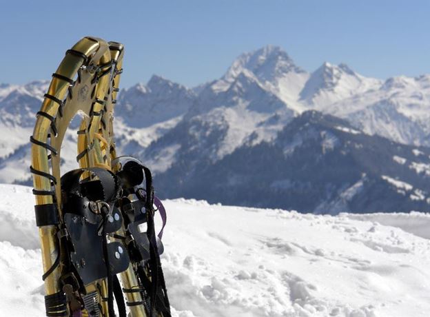 BERGaktiv Schneeschuhwanderung im Gebiet Sonntag-Stein
