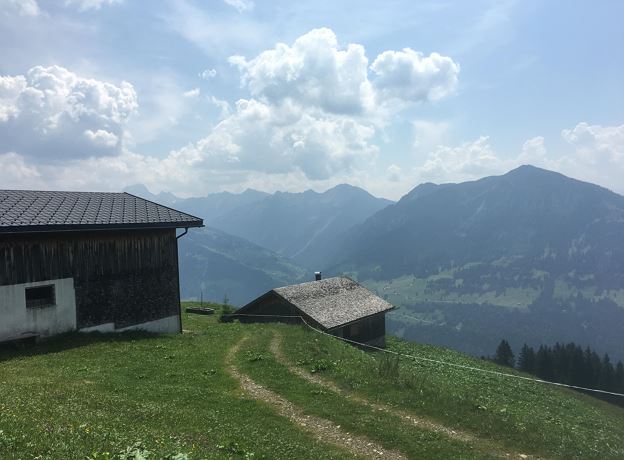 Geführte Wanderung Alpine Kräuter am Höhenweg mit Ruth