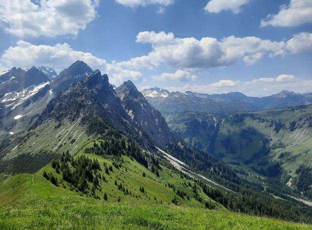 Geführte Alpine Kräuter- & Naturwanderung zur Wangspitze mit Ruth