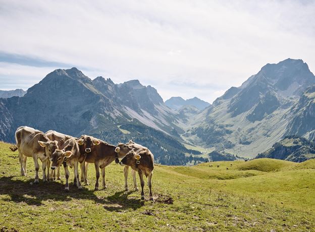 Geführte Wanderung Alpe Klesenza und Alpe Laguz mit Florian oder Helmut