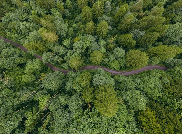 Geführte Wanderung Sägeweg mit Wilfried