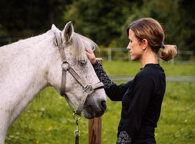 Workshop - Meine Rollen und ich