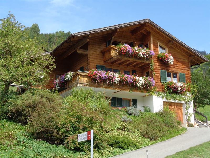 Sommer 2017 unser Zuhause